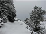 Sedlo Mokrine - planina Biffil 